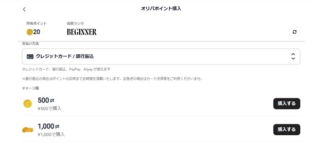 ポイント購入画面