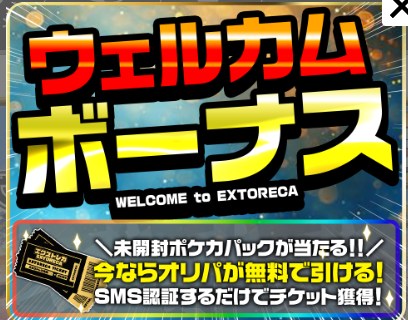 エクストレカ SMS認証画面